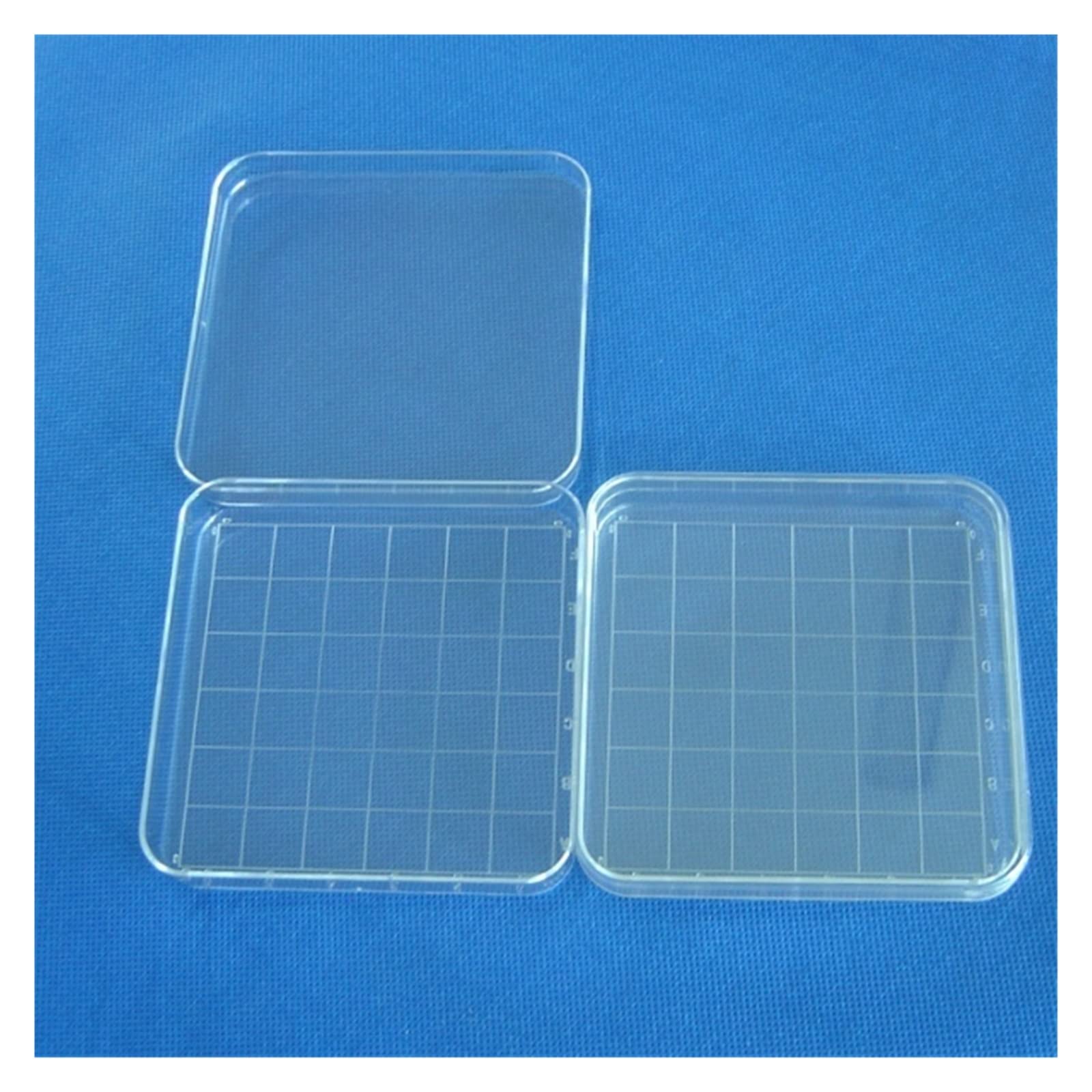 YYJzsw Analiza laboratoryjna Plastikowe polistyrenowe szalki Petriego kwadratowe 10 * 10 cm, sterylne, 10 szt./opakowanie