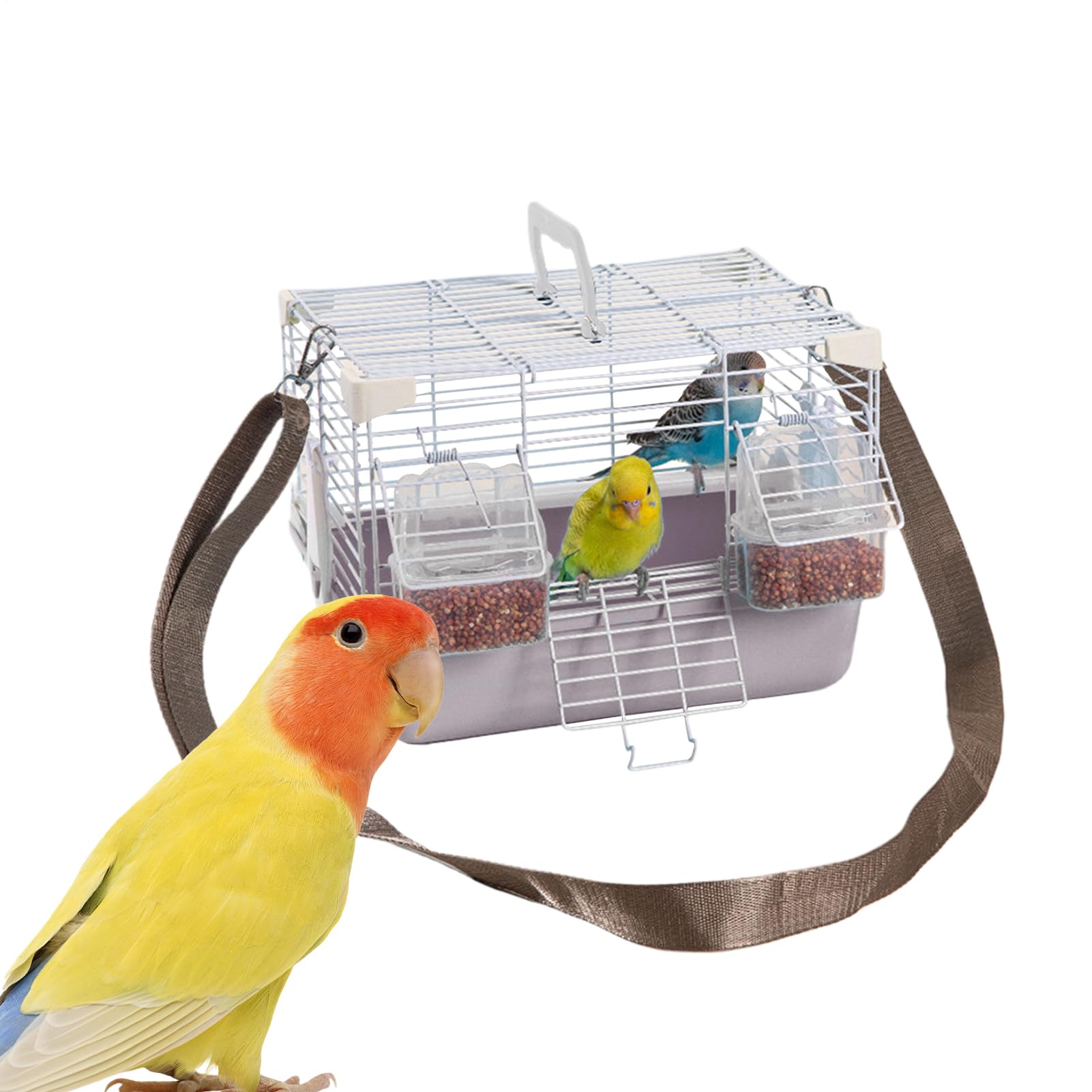 Boîte de transport pour oiseaux sans stress avec plateau amovible facile à nettoyer