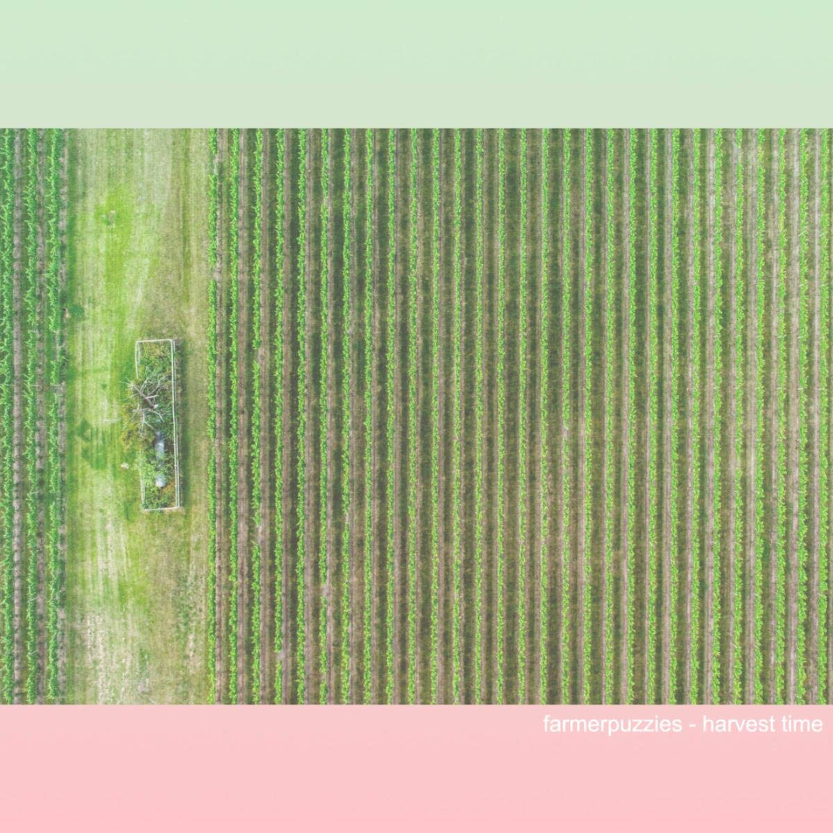 Toystore Security [Explicit]