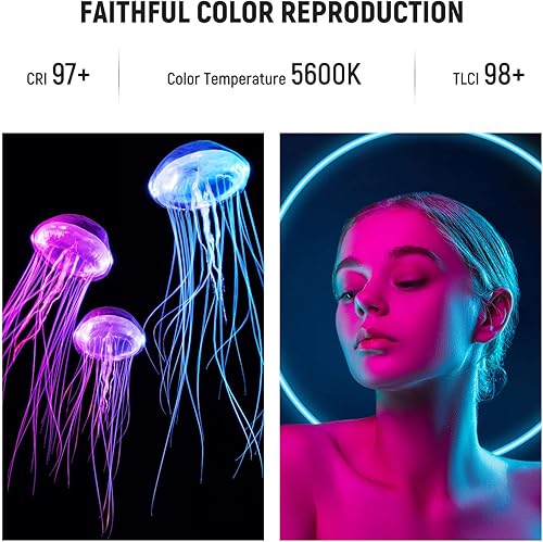 Miniatura 4 de NEEWER WP12 Luz de buceo subacuática 33 pies328ft IP68 impermeable luz de video LED con cabezal de bola 1900 mAh 5600K CRI97 TLCI98 2600lux16ft modo