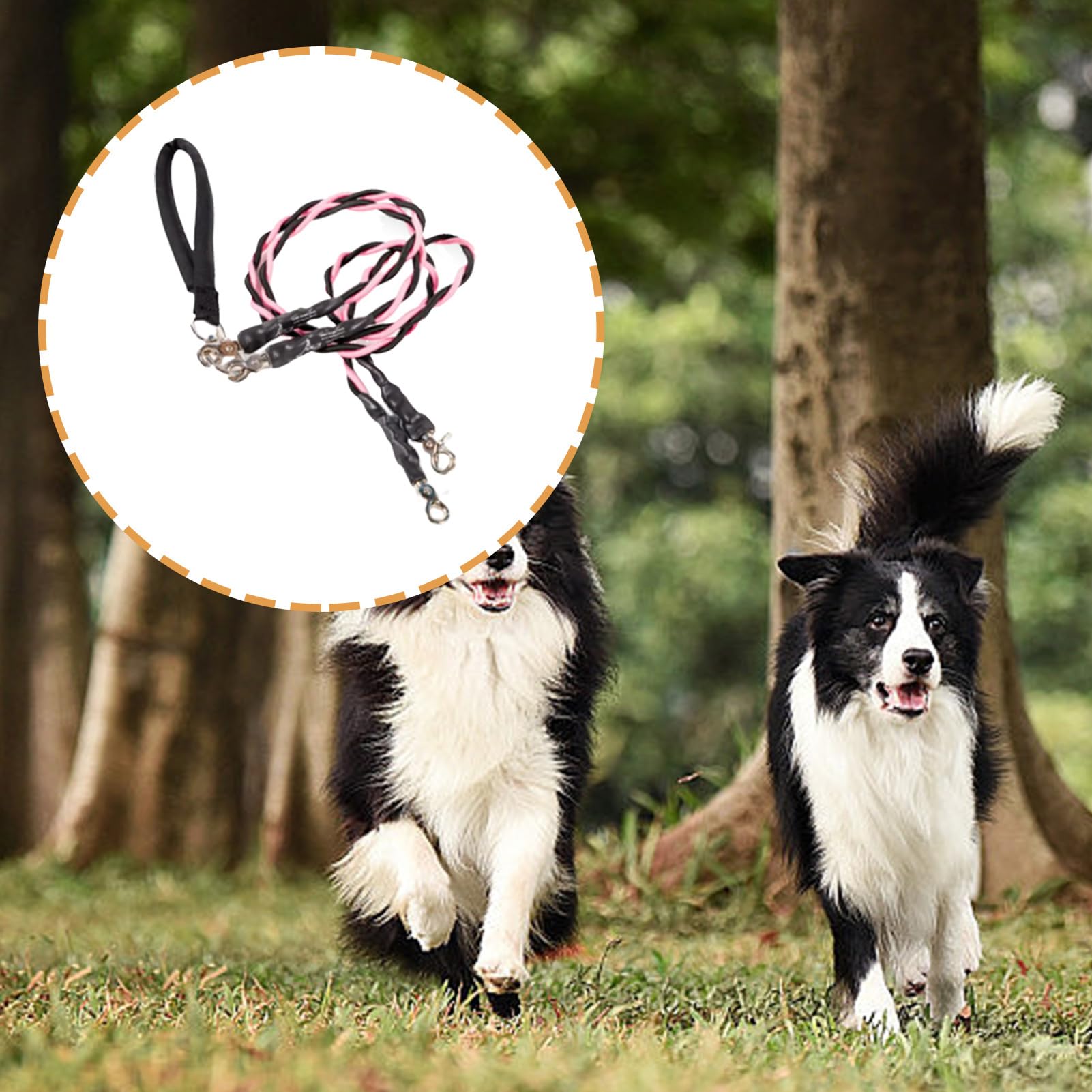 Corde per Cani - Guinzaglio Doppio per Passeggiate con Animali Domestici | Accessori per Animali Domestici Resistente Durevole Comodo per Spiaggia Addestramento Sicurezza Migliorata