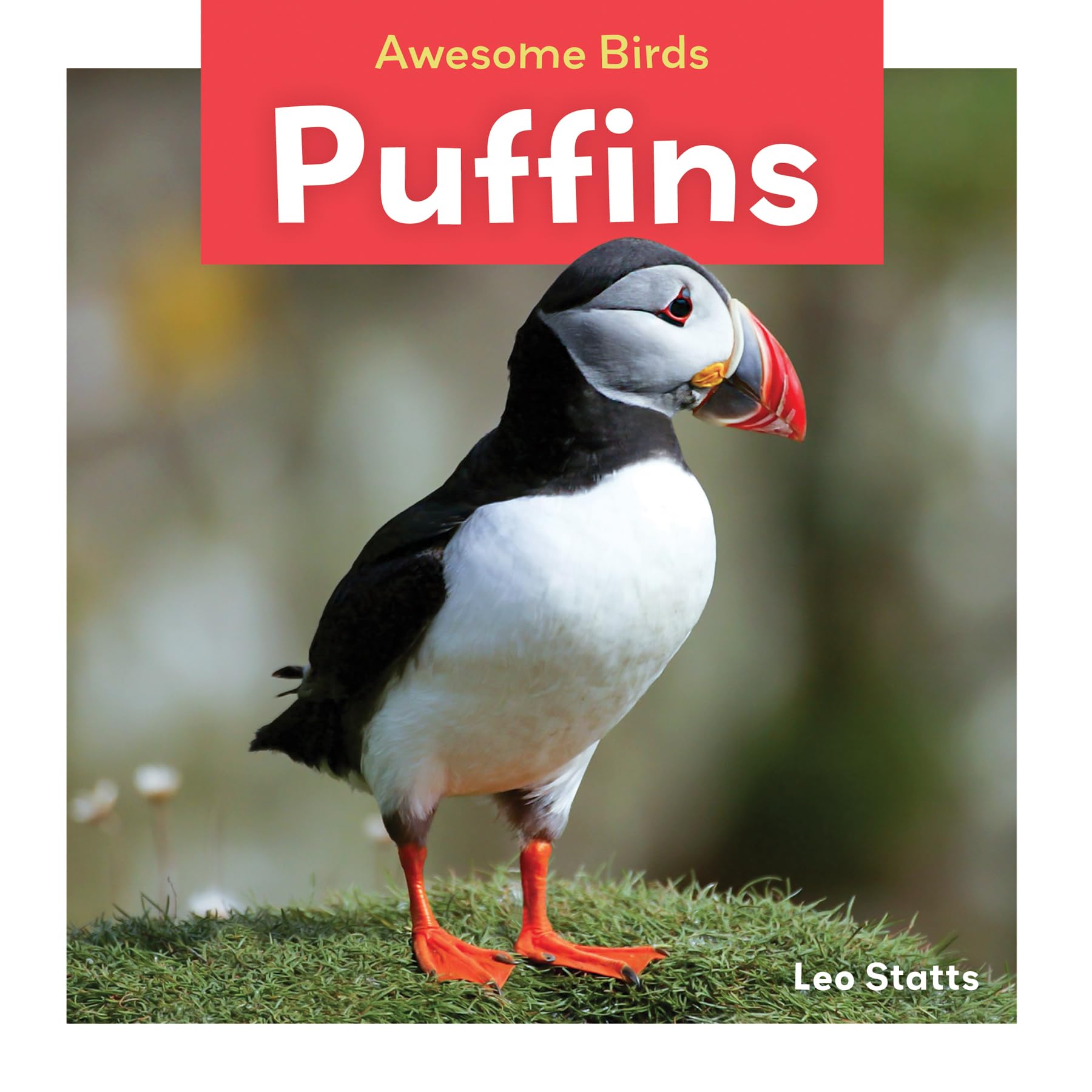 Puffins (Awesome Birds)