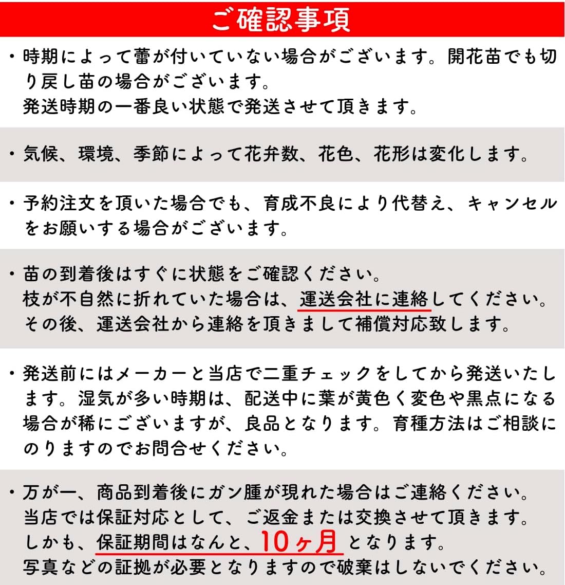 ナエマ バラ 新苗 4号鉢 ] バラ苗 鉢植え 薔薇 ばら デルバール 【アテス】 フレンチローズ