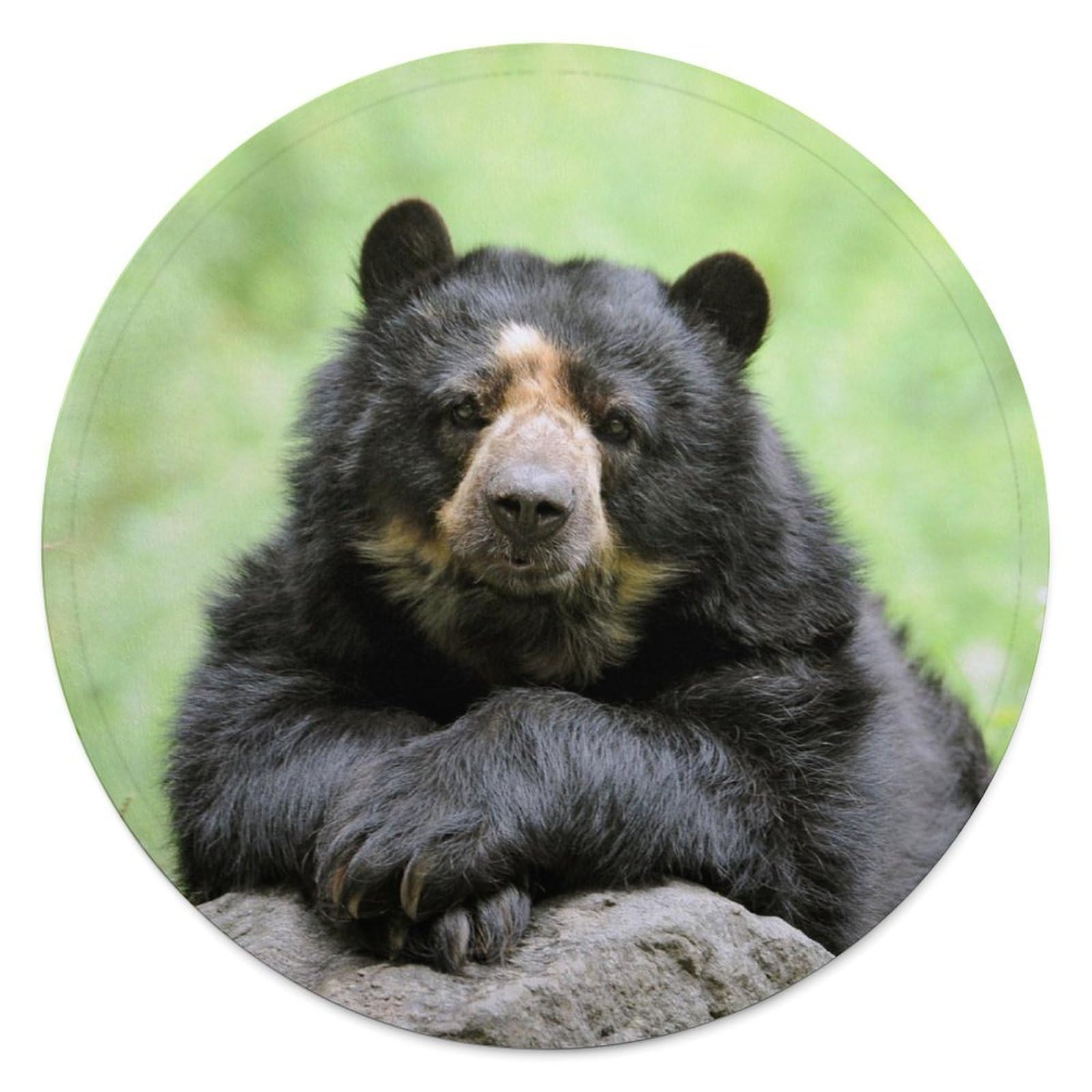 Couverture imprimée ours noir ronde, cadeau canapé idéal