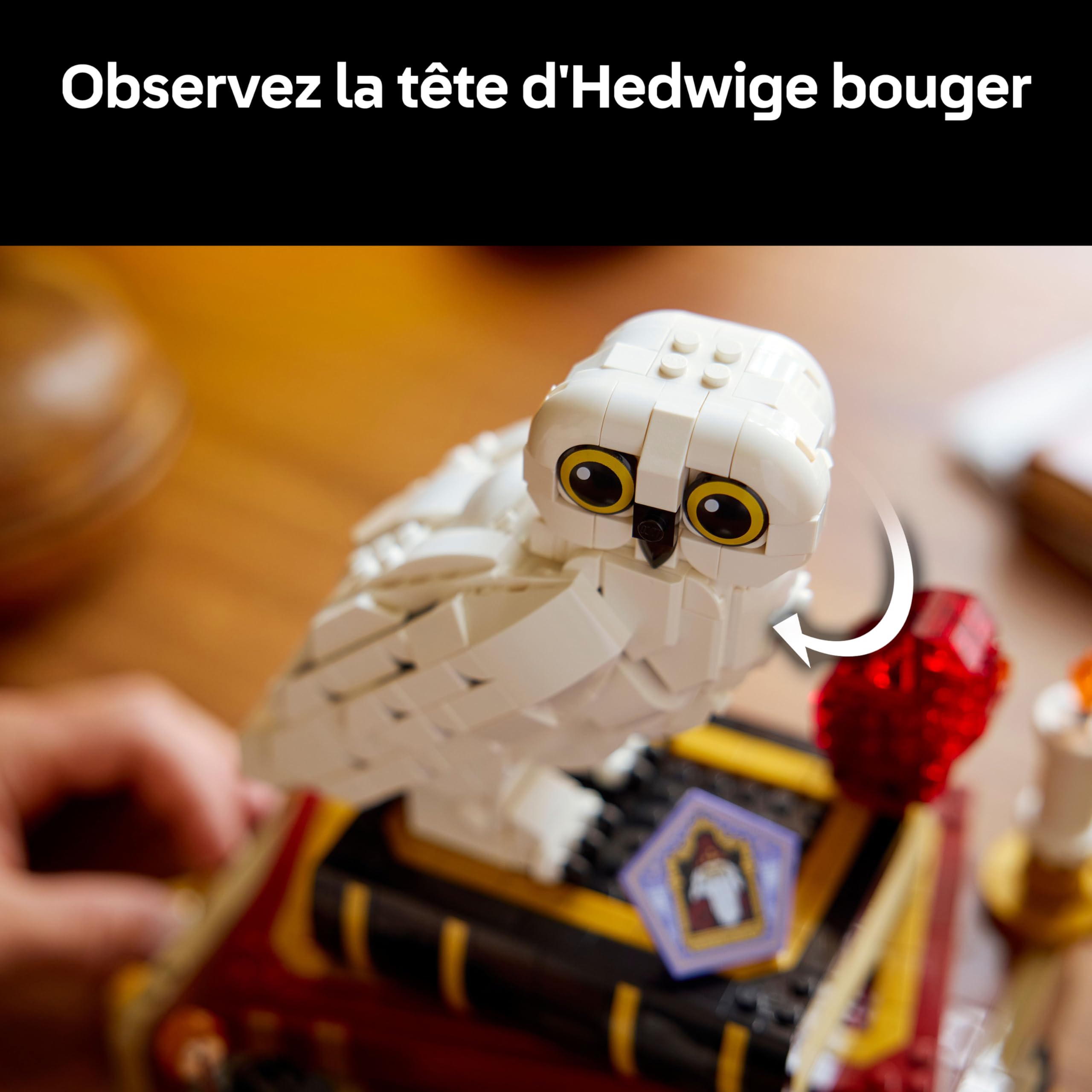 LEGO Harry Potter L’École des Sorciers – Édition Collector - Maquette DIY - Décoration Intérieure - Scènes Miniatures du Film - Figurine d'Hedwige - 3 Minifigurines - Idée Cadeau pour Fan Adulte 76466