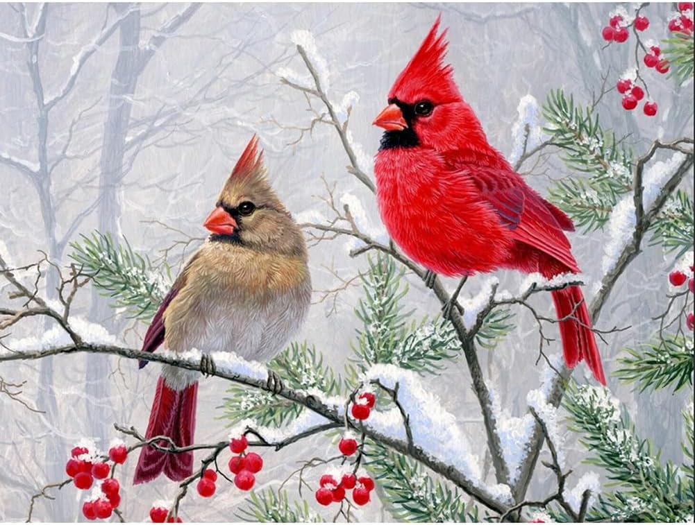 FHBUBPUP Diamond Art Painting Kits for Adults, Cardinal Birds Diamond Art Kits for Beginners, DIY Winter Gem Art Craft for Home Wall Decor, Great Gift for Kids 16x12inch