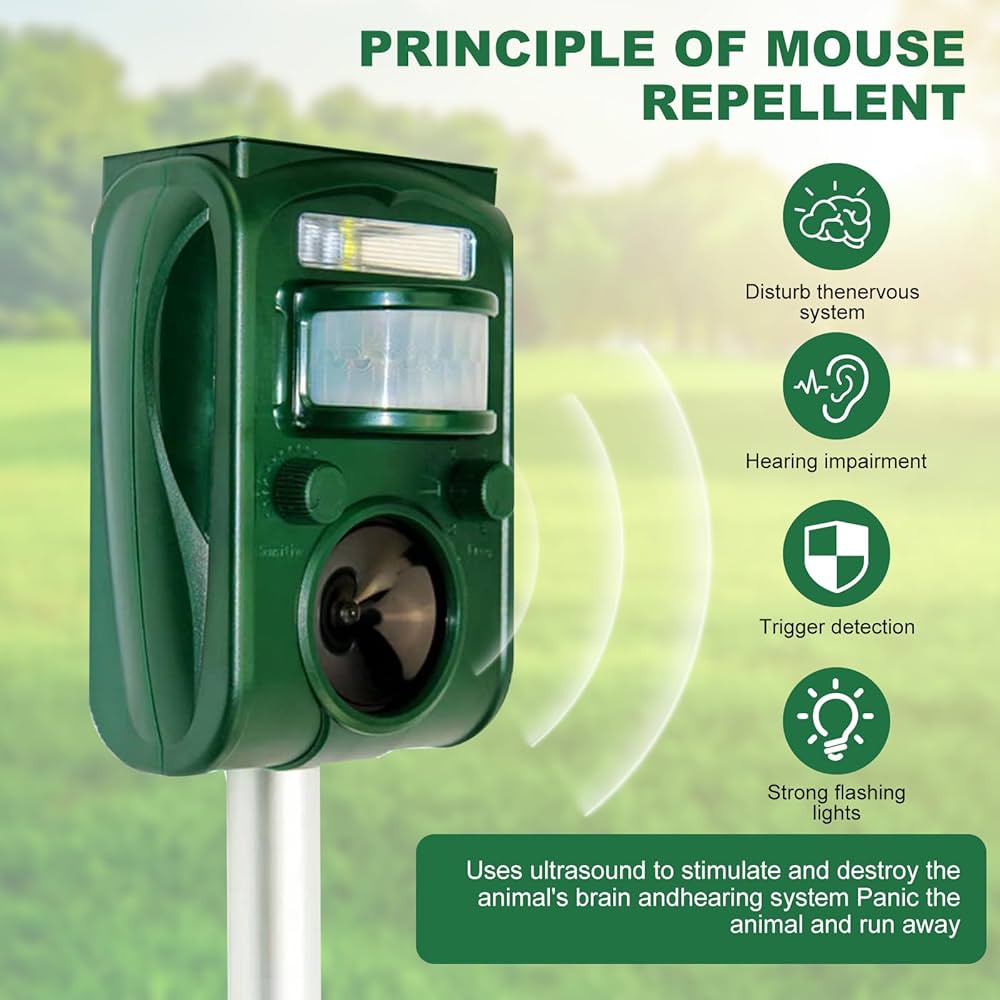 71esnru9RbL._AC_UF1000,