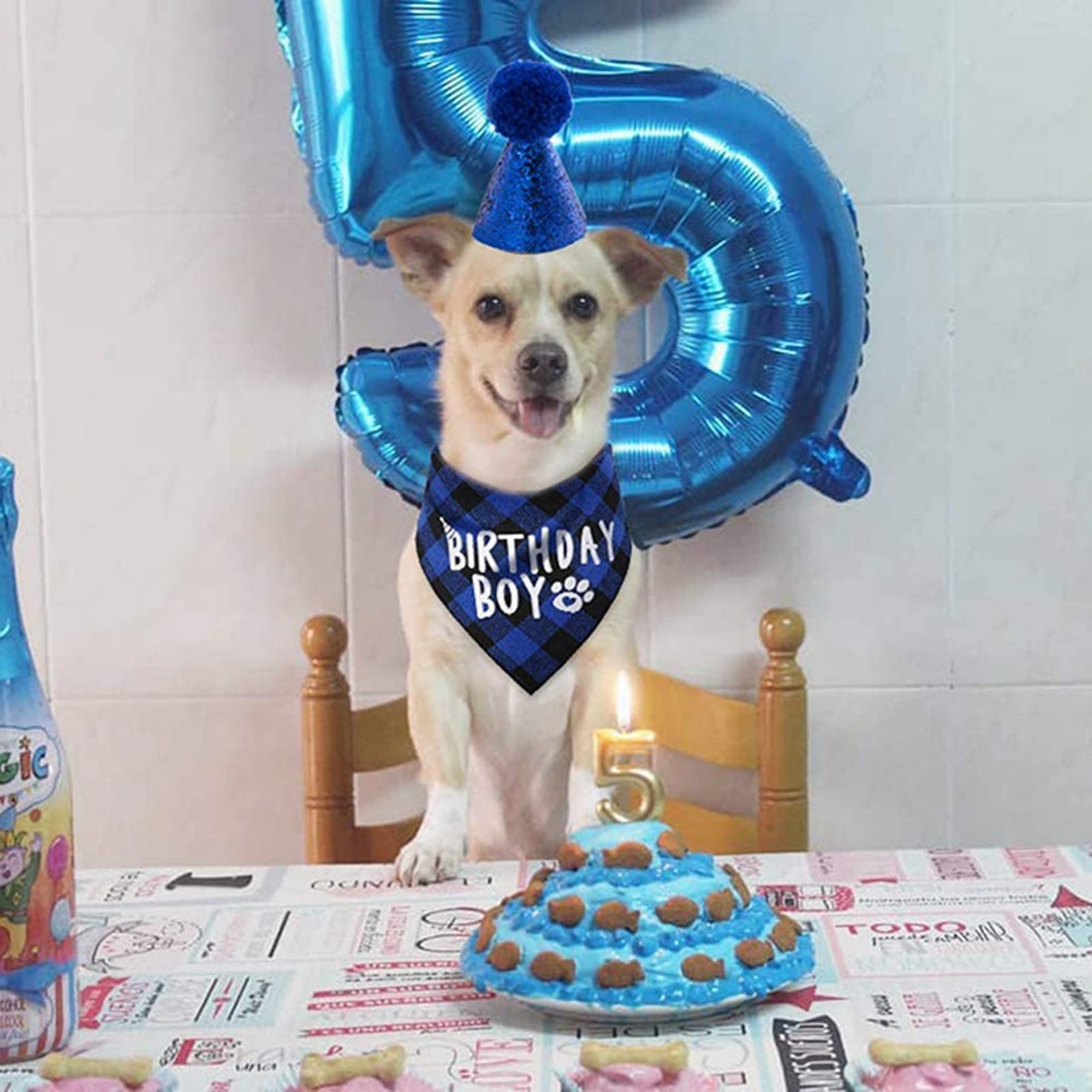 Honden bandana: 16x de beste van 2026 [Extra Korting