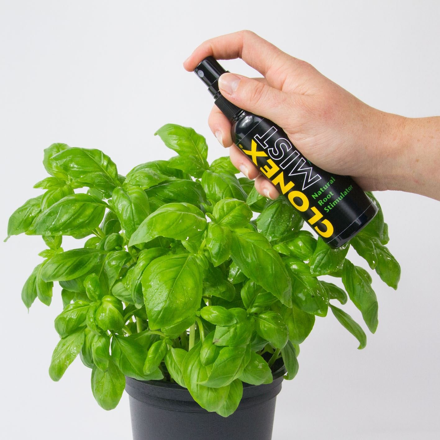 Clonex Mist Natural Root Stimulator 100ml