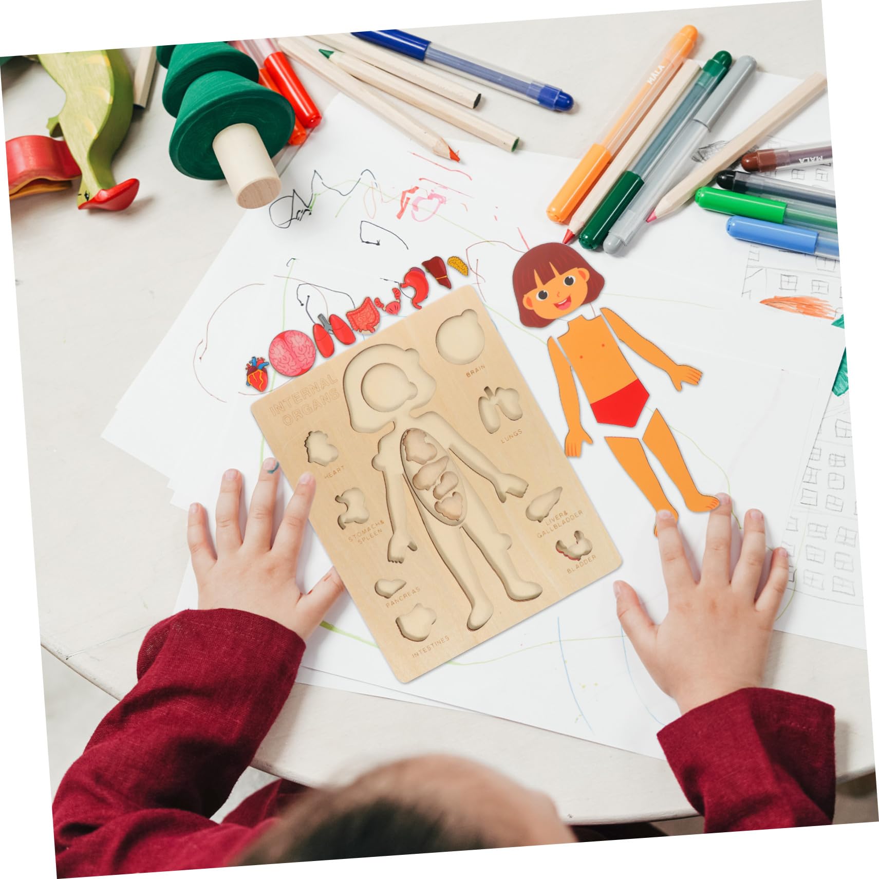 Puzzle Anatomia Umana in Legno per Gioco Educativo Organi del Corpo Didattico per Ragazzo e Aiuto Insegnamento Scuola Sviluppo Coordinazione e Memoria