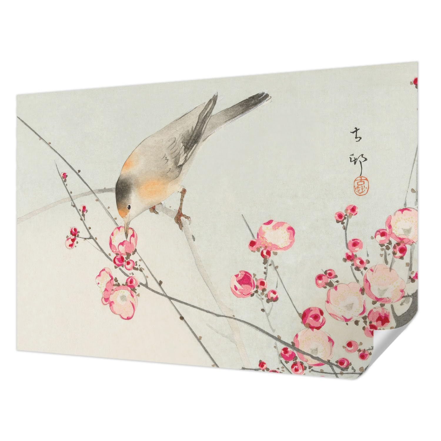 Fotomural adhesivo antimanchas de pájaro y flor con formato fotográfico 152x104