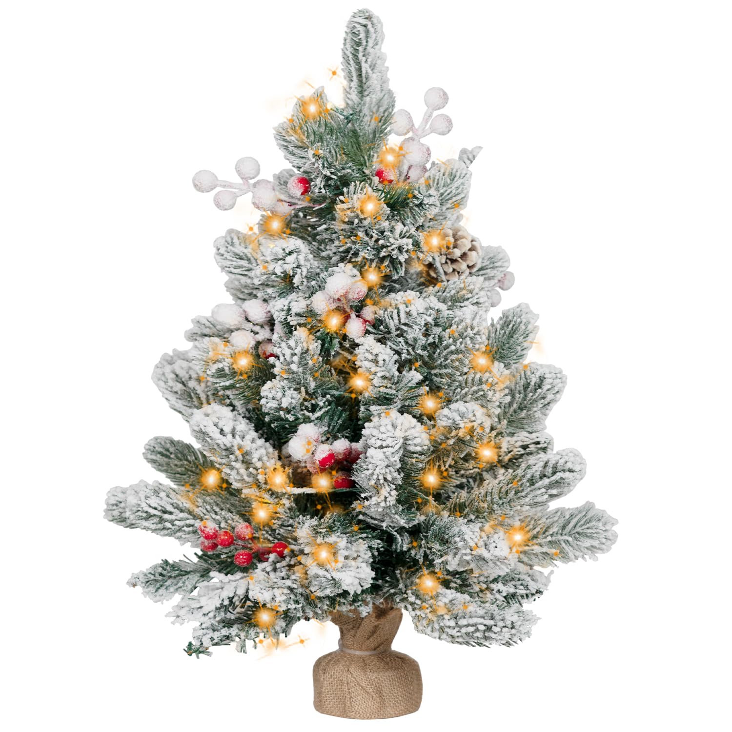 2FT Small Christmas Tree, Flocked Artificial Mini Christmas Tree with Lights by DNKMOR