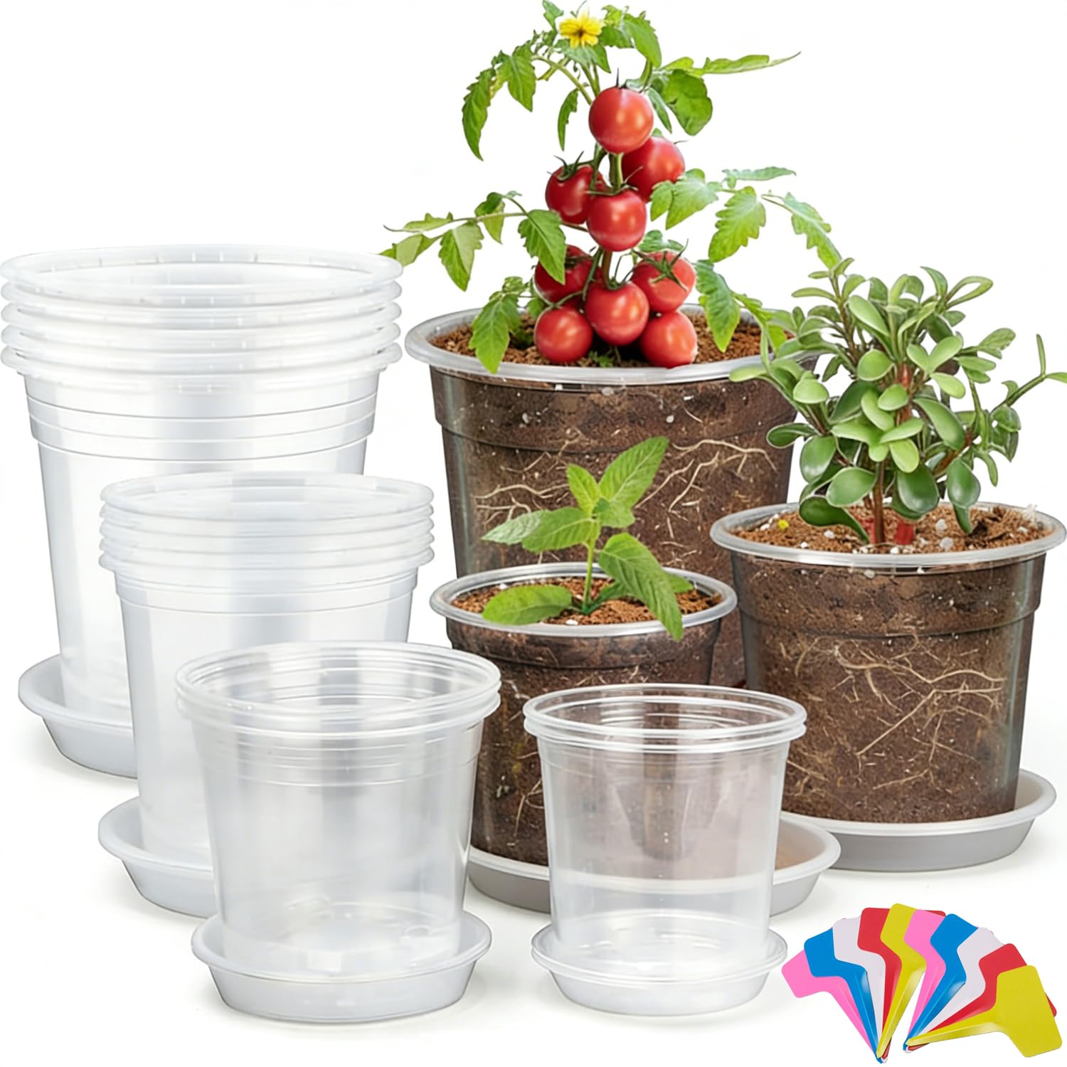 Lot de 25 pots de fleurs de jardin en plastique transparent avec plateaux de drainage, pots de pépinière avec trous de drainage pour la propagation des légumes, plantes grasses, fleurs, comprend