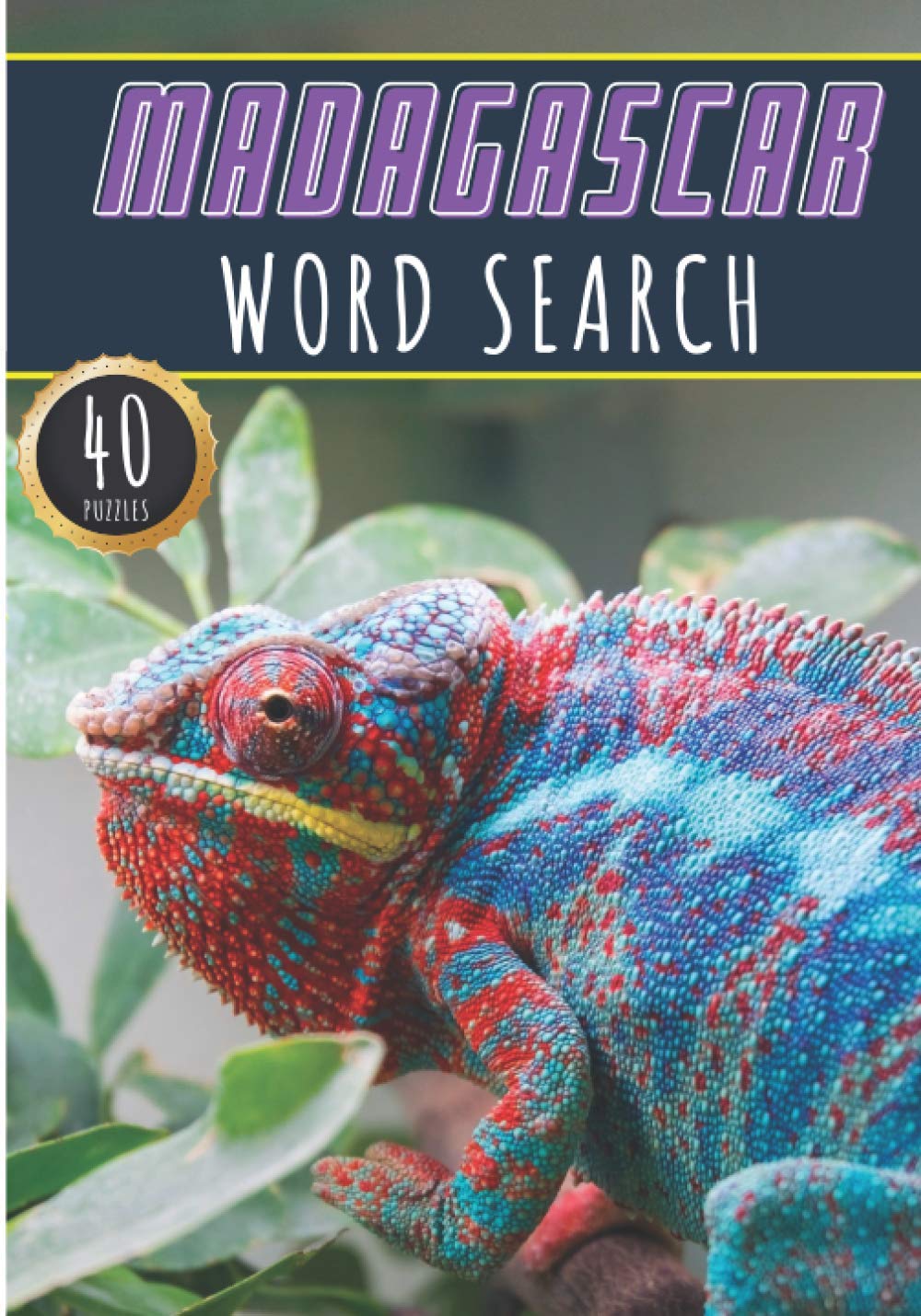 Madagascar Word Search: 40 Fun Puzzles With Words Scramble for Adults, Kids and Seniors | More Than 300 Malagasy Words On Madagascar Cities, Famous ... Culture, History and Heritage, Malagasy Terms