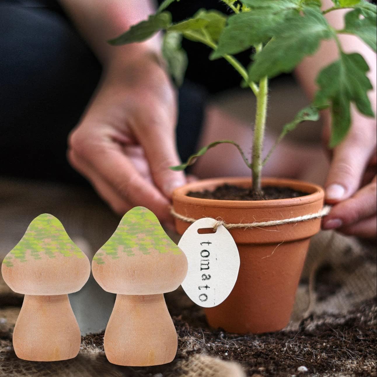 60pcs Wooden Mushroom Set Natural Unfinished Wood Mushrooms Shapes Mushroom Figurines Mini Wooden Peg Dolls for Christmas Arts and Crafts