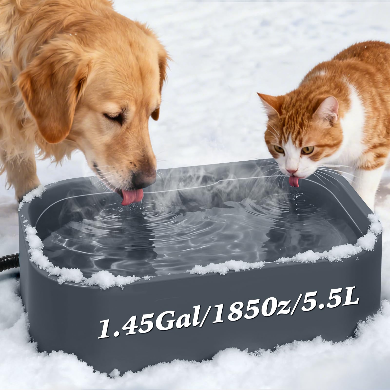 IPOW Extra Large Heated Pet Bowl