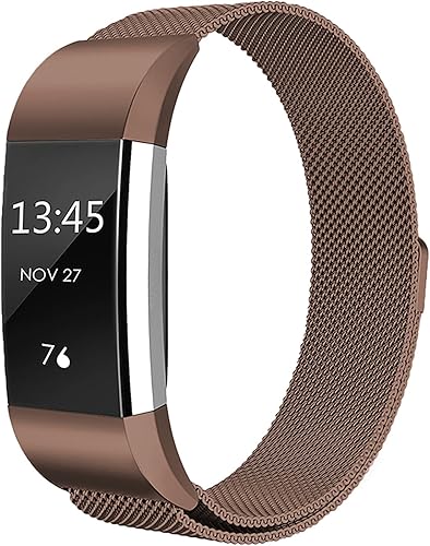Cone Correa de metal compatible con Fitbit Charge 2, correa de repuesto ajustable de malla de acero inoxidable para Fitbit Charge 2 Fitness Tracker