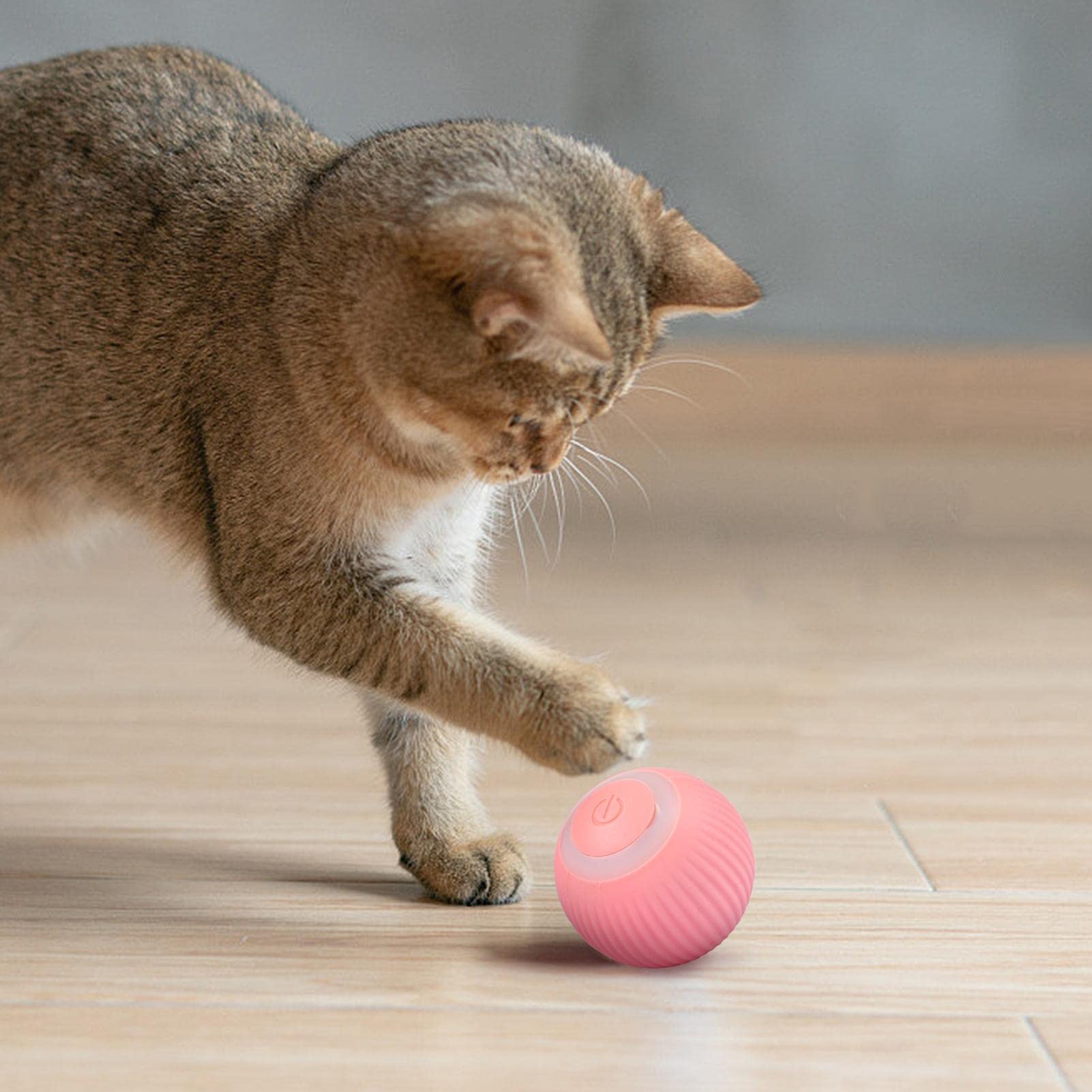 Amazon.co.jp: スマートインタラクティブキャットボールおもちゃ、360 Amazon.co.jp: スマートインタラクティブキャットボールおもちゃ、360