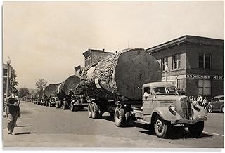 Lantern Press 12x18 Inch Premium Wood Sign, Ready to Hang Wall Decor, Snohomish, Washington, View of a Truck Log Caravan, Vintage Photograph