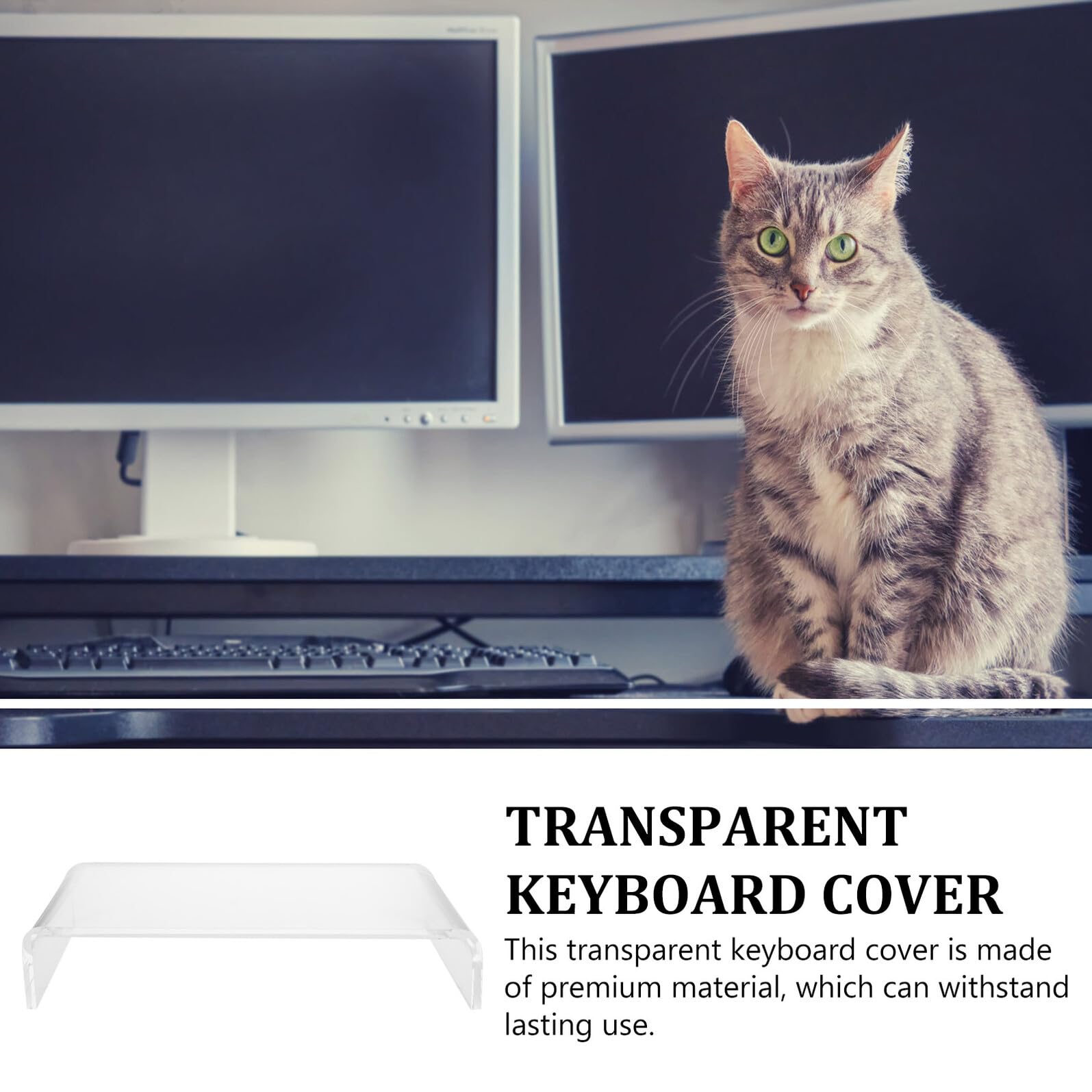 Copertura Trasparente e Alzatina Rimovibile in Acrilico per Tastiera Protezione Antigraffio che Salva Spazio sulla Scrivania Gatto per Uso Quotidiano