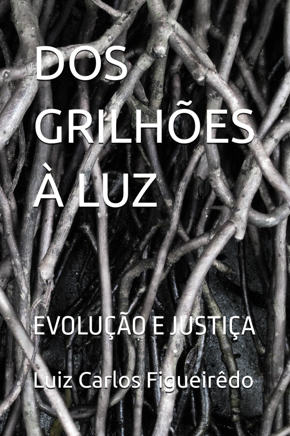 DOS GRILHÕES À LUZ: EVOLUÇÃO E JUSTIÇA