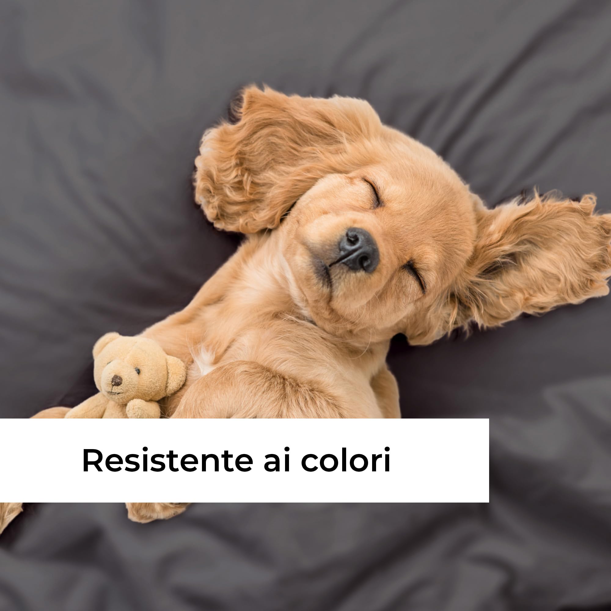 Lenzuolo con angoli 100x200 Grigio scuro 40 cm profondità - Lussuoso lenzuolo - Per letti a molle - Per materassi fino a 40 cm di altezza - Morbido, senza pieghe e traspirante - Confezione singola