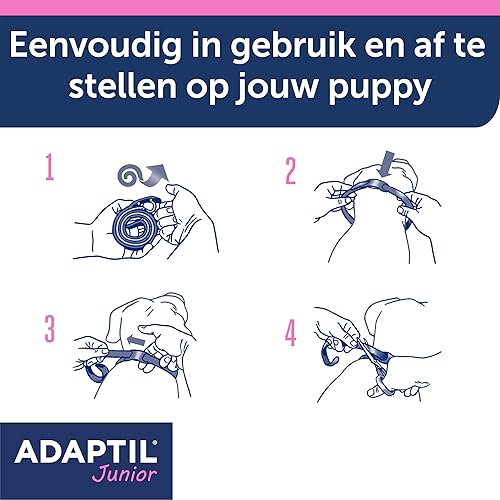 Miniatura 4 de ADAPTIL Collar calmante de feromonas para cachorros junior