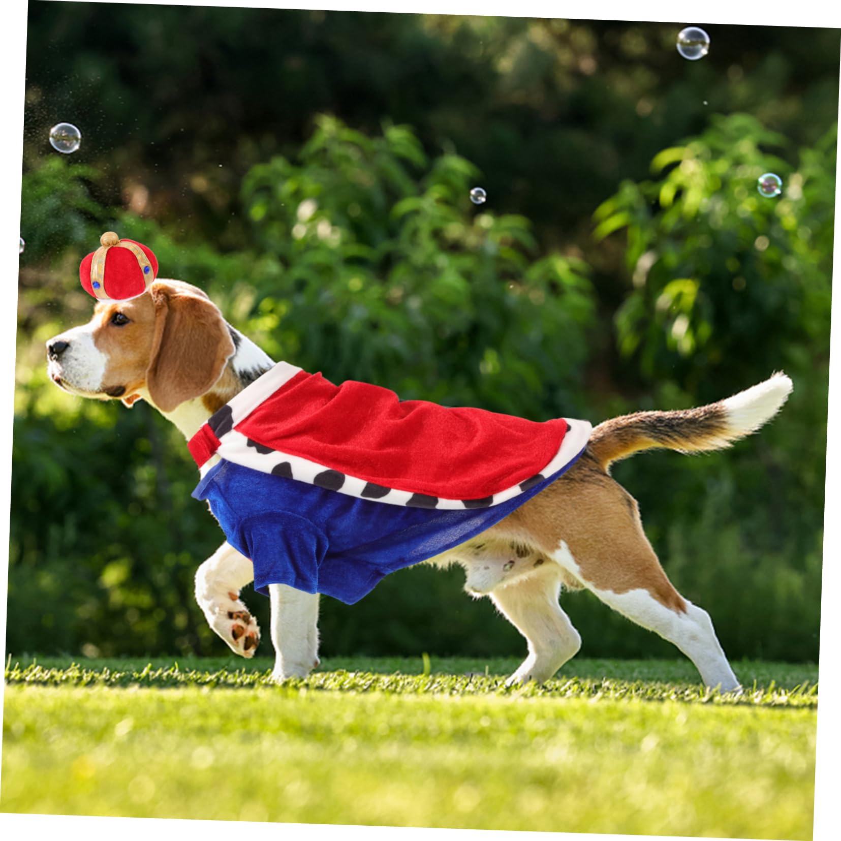 Sosoport 2sets Costumi Per Cani Con Mantello e Cappello Abbigliamento Per Animali Domestici Comodo e Leggero Adatto Per Festività e Foto