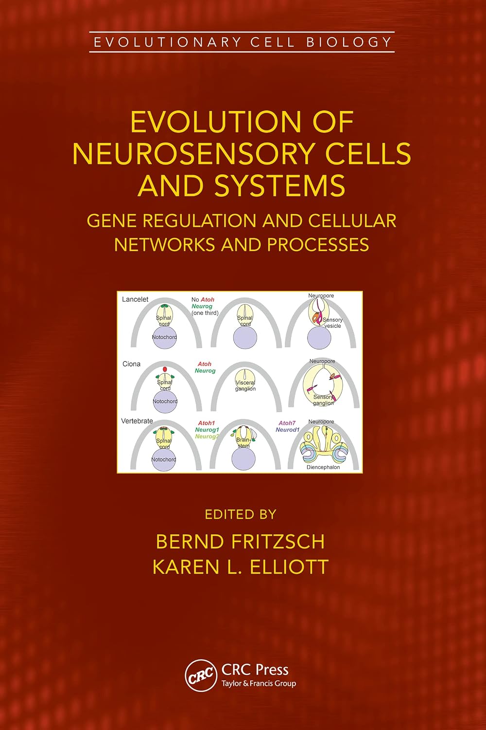 Evolution of Neurosensory Cells and Systems: Gene regulation and cellular networks and processes (Evolutionary Cell Biology)