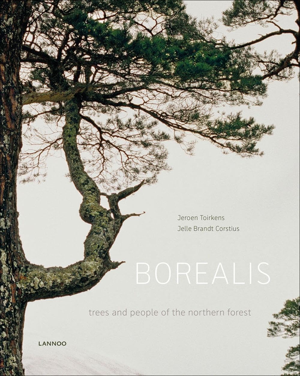 Borealis : trees and people of the northern forest