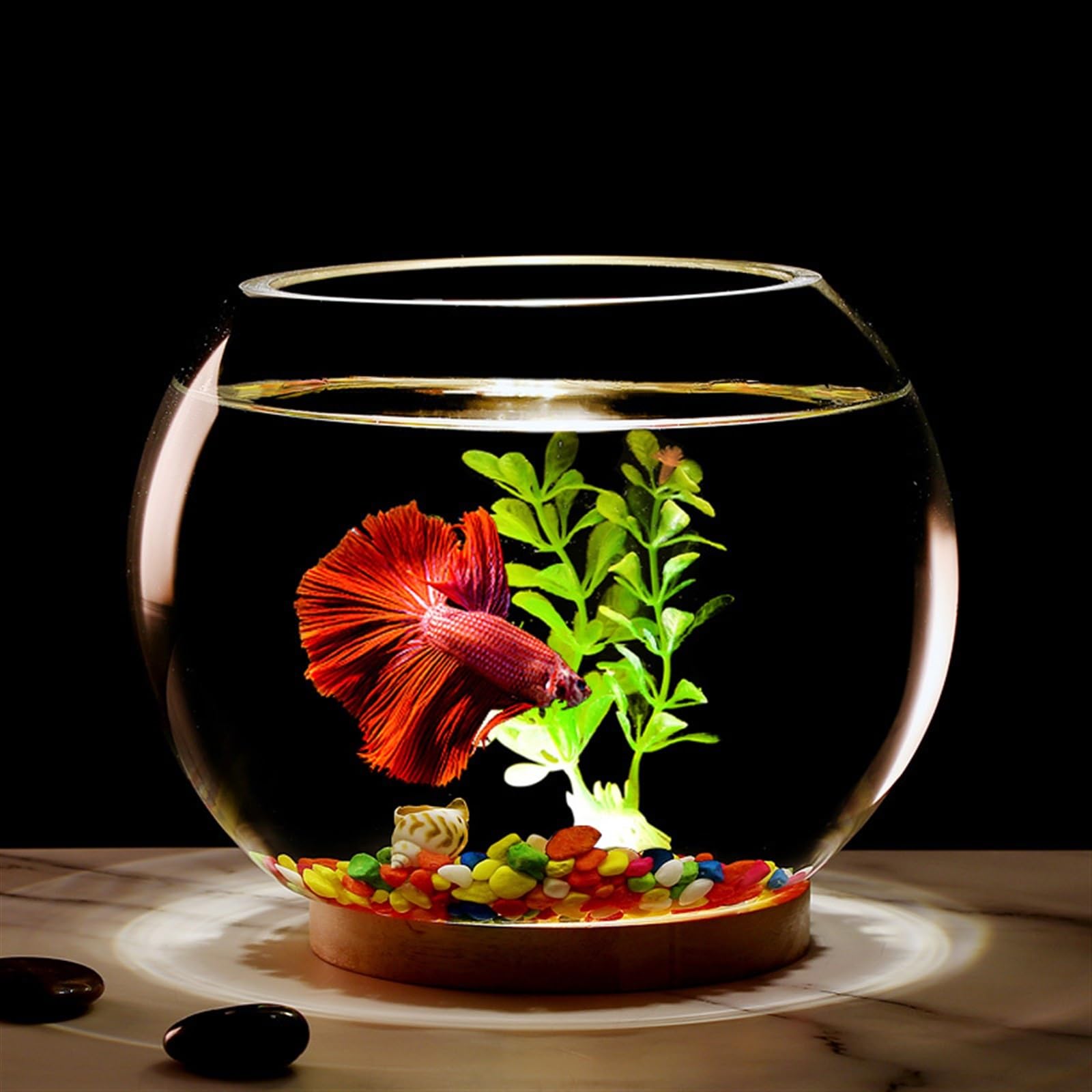 Terrarium Verdicktes transparentes Glas Aquarium Desktop Runde Goldfisch Aquarium Wohnzimmer Desktop Dekorative Aquarium Ornamente Insekten Schildkröten(25cmx20cm)
