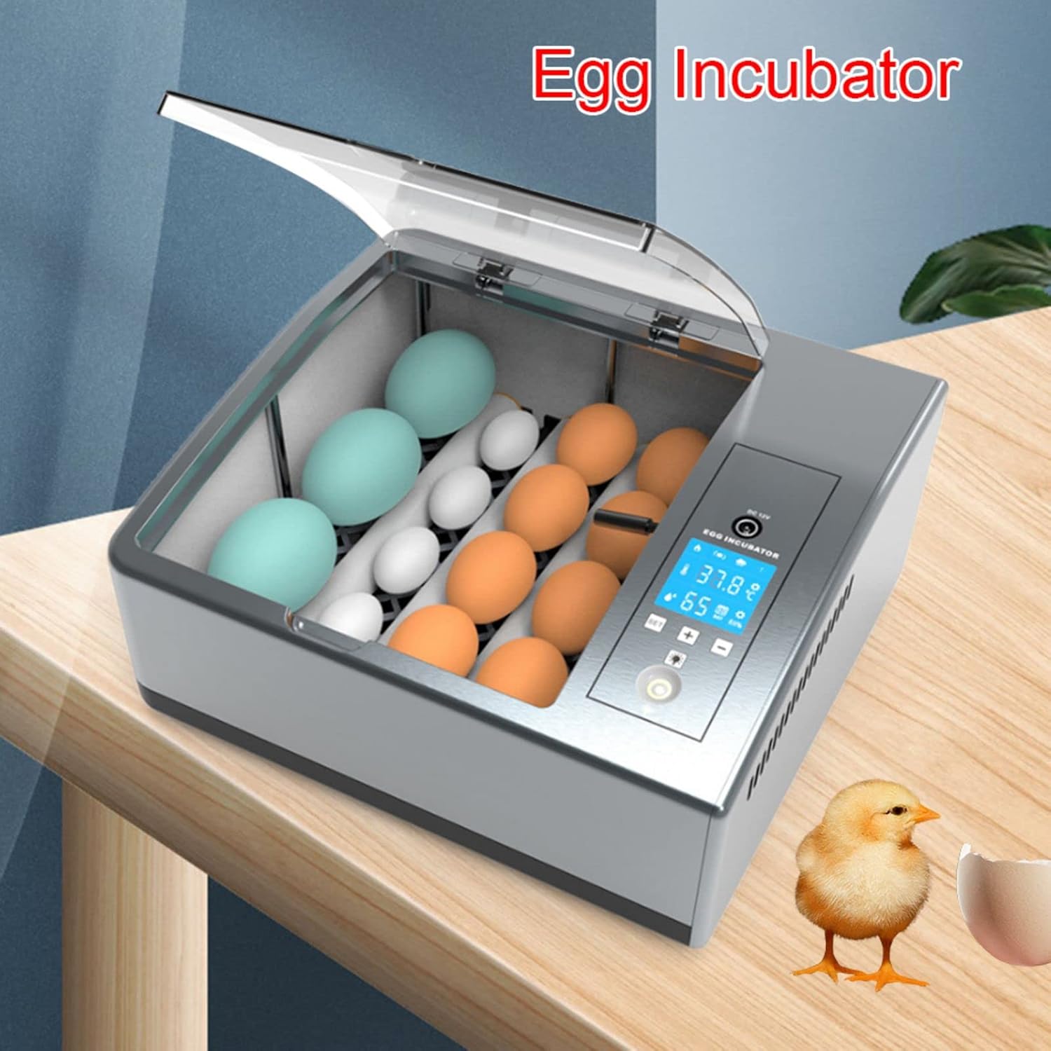 16 Chicken Egg Incubator with Automatic Egg Turner, 360° Rotating Hatcher for Chicken Duck Goose Pigeon, Mini Automatic Temperature Incubator w/LCD Display Temp Control, Clear View Lid, Home Lab Use