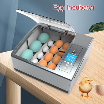 16 Chicken Egg Incubator,Mini Automatic Temperature Incubator, Fully Digital Hatcher with Automatic Turner Temp Control,LCD Screen, for Hatching Chicken Quail(Grey)