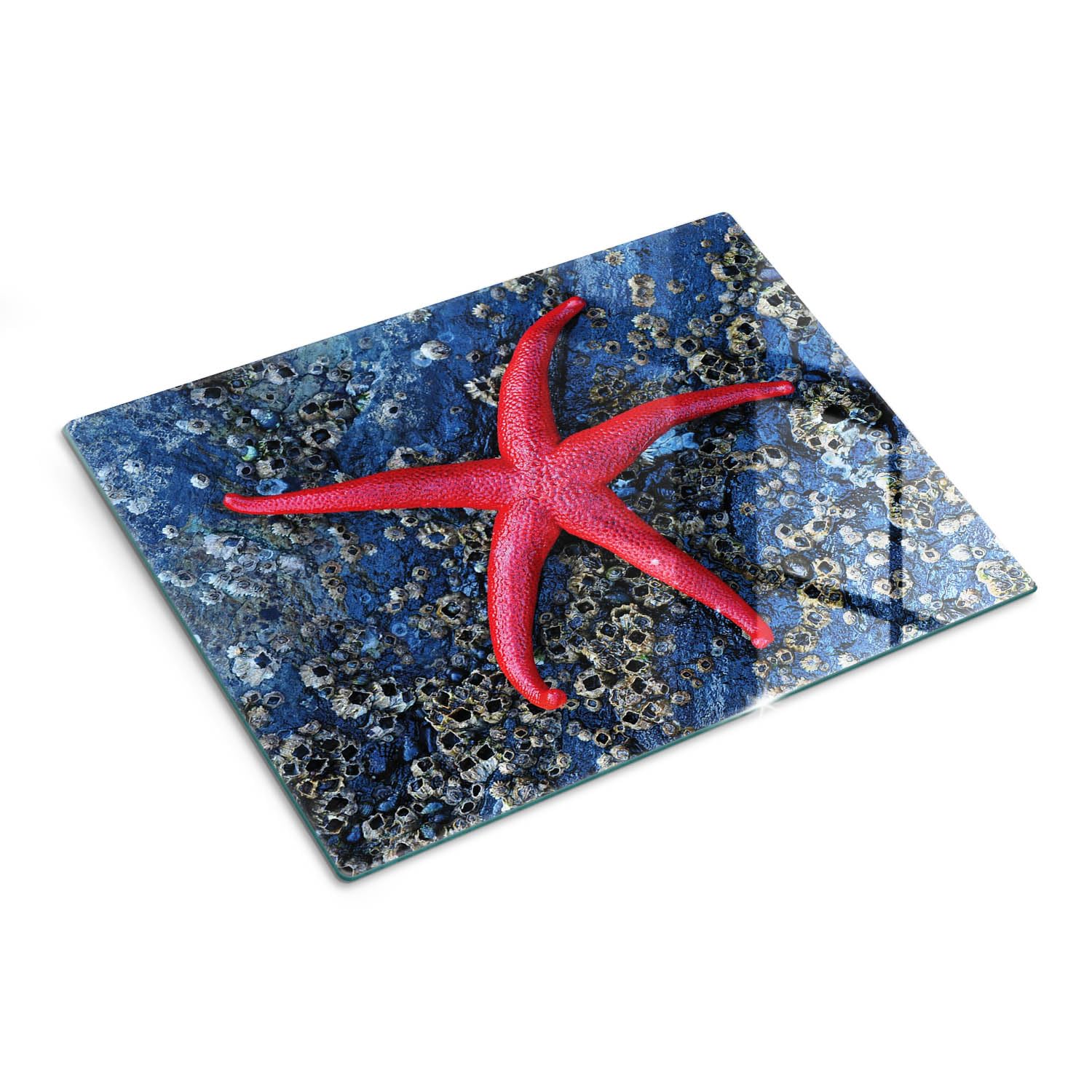 Multifunzione: Tagliere in vetro e coperchio 40x30 cm Stella marina rossa