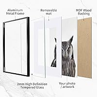 Vista 62 de Fun Memories Portarretratos de metal de 16 x 20 pulgadas con paspartú de 11 x 14 pulgadas, acabado de aluminio cepillado, parte delantera de vidrio