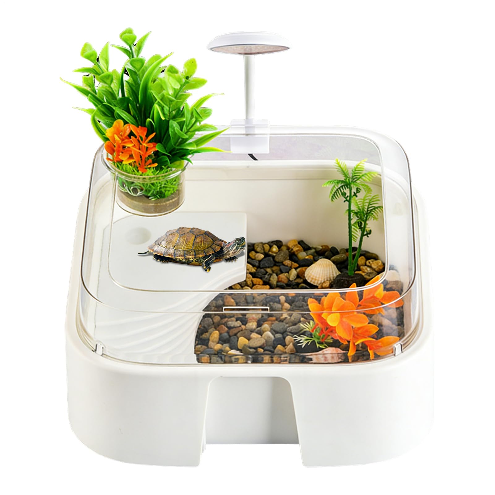 Vasca Per Tartarughe Acquatiche Terrario Per Rettili Con Decorativi | Recinto Per Tartarughe Acquatiche E Rettili Per Granchio Eremita Testuggine Drago Barbuto Serpente Per Interni Casa Ufficio