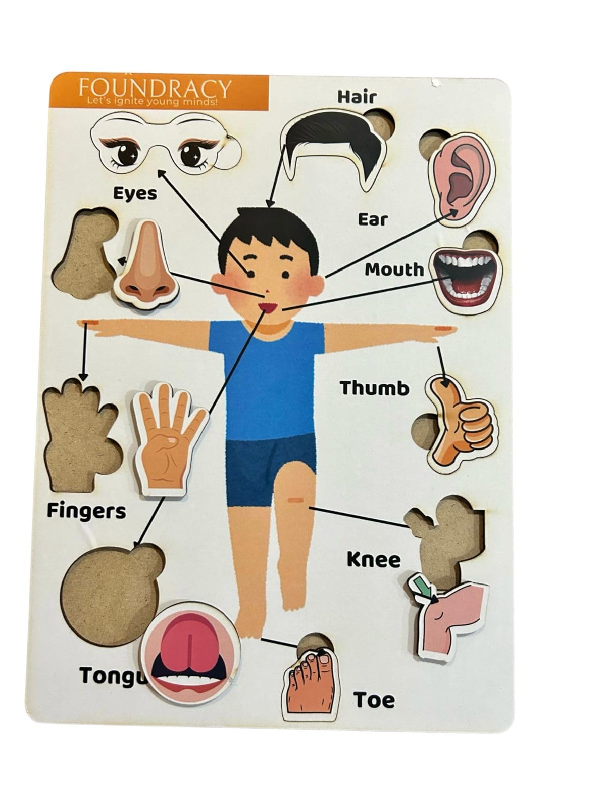 Foundracy Wooden Body Parts Knob Puzzle for Toddlers, Preschoolers 2+ Years, Educational Fine Motor Skills Development Toy Gift for Boys, Girls|Wooden Learning Educational Game Board for Kids (B0D5Y9S7KL) Amazon Price History, Amazon Price Tracker