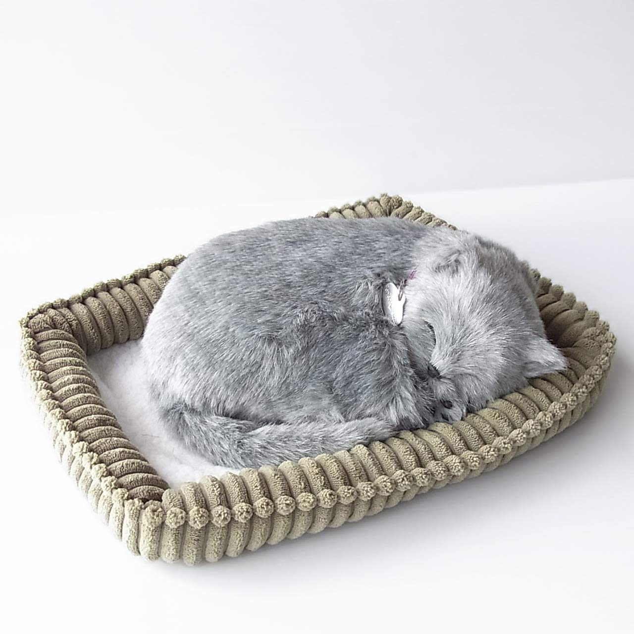 Amazon.co.jp: ニニアンドキノ パーフェクトペット (小サイズ Amazon.co.jp: ニニアンドキノ パーフェクトペット (小サイズ