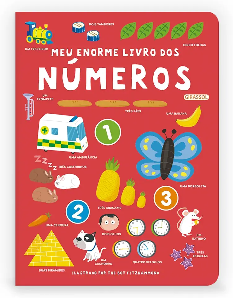 Meu enorme livro dos números