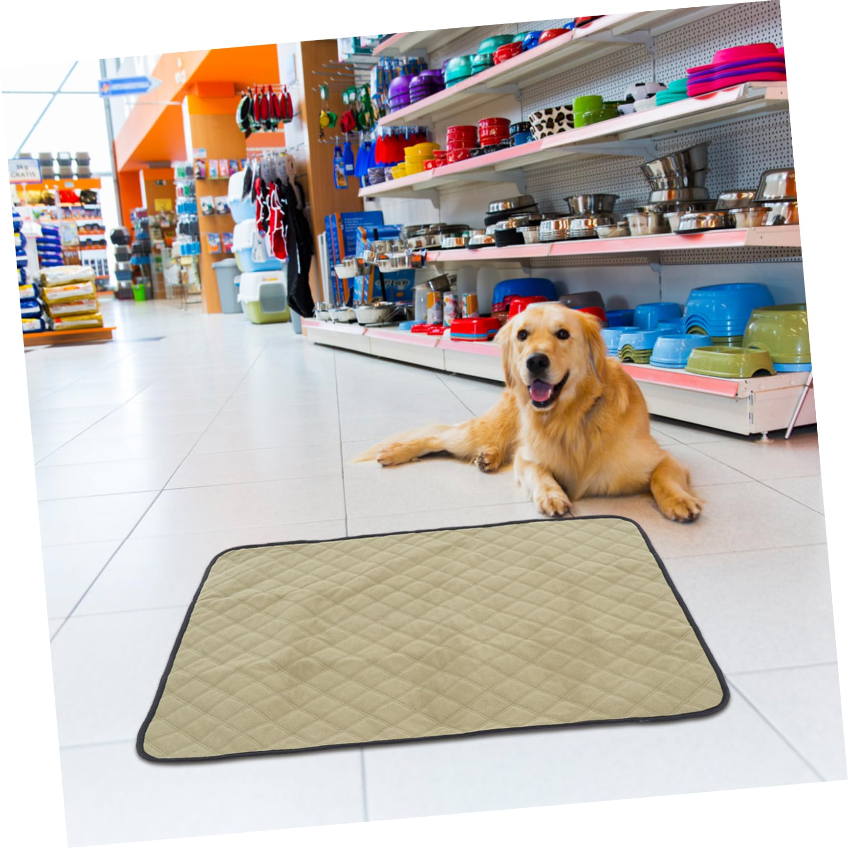 Empapadores Reutilizables para Perros Lavables 2 Piezas Poliéster