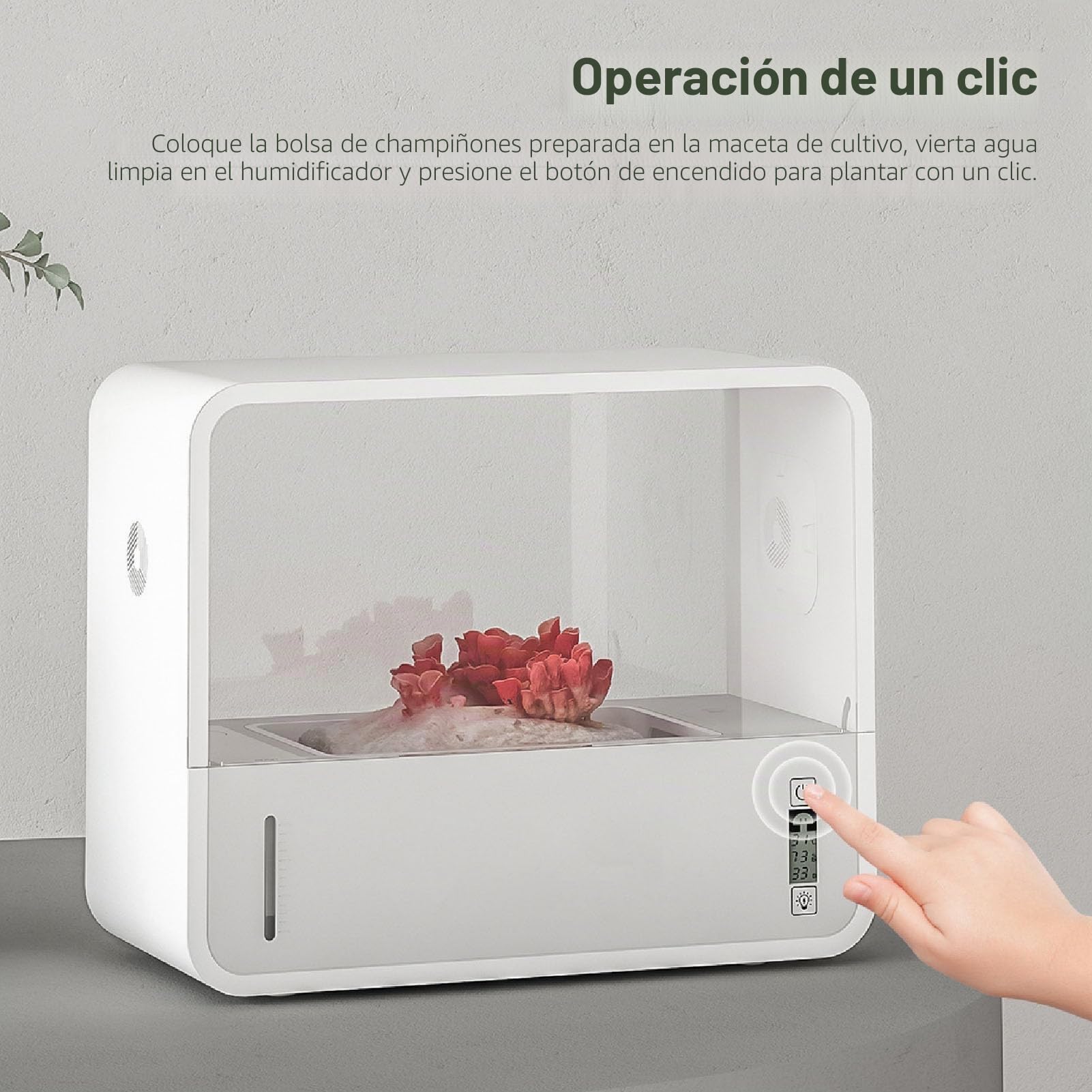 Caja de Aire para Setas, Kit de Bolsa de Cultivo de Setas con Diseño de Control Táctil, Iluminación LED Automática, Tienda de Campaña con Bolsa para Plantar Setas, Tienda de