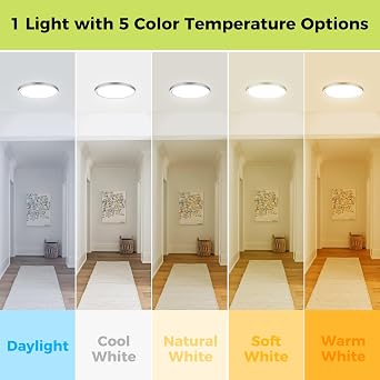 2Pack LED Flush Mount Ceiling Light Fixture Brushed Nickel, 12Inch 24W, Dimmable&3000K-6500K Adjustable Low Profile Ceiling Lights, 3200LM Modern Lamp for Kitchen, Bedroom, Porch, Hallway