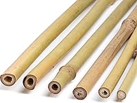 Vista 5 de Paquete de 30 palitos de bambú natural para plantas de interior y exterior, plantas en maceta (30, 16 pulgadas)