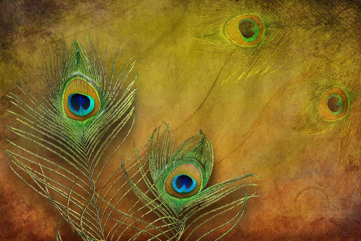 Guest Room Wallpaper, Decorative, Patterned (Multi G R 25, 1.5x1 feet)