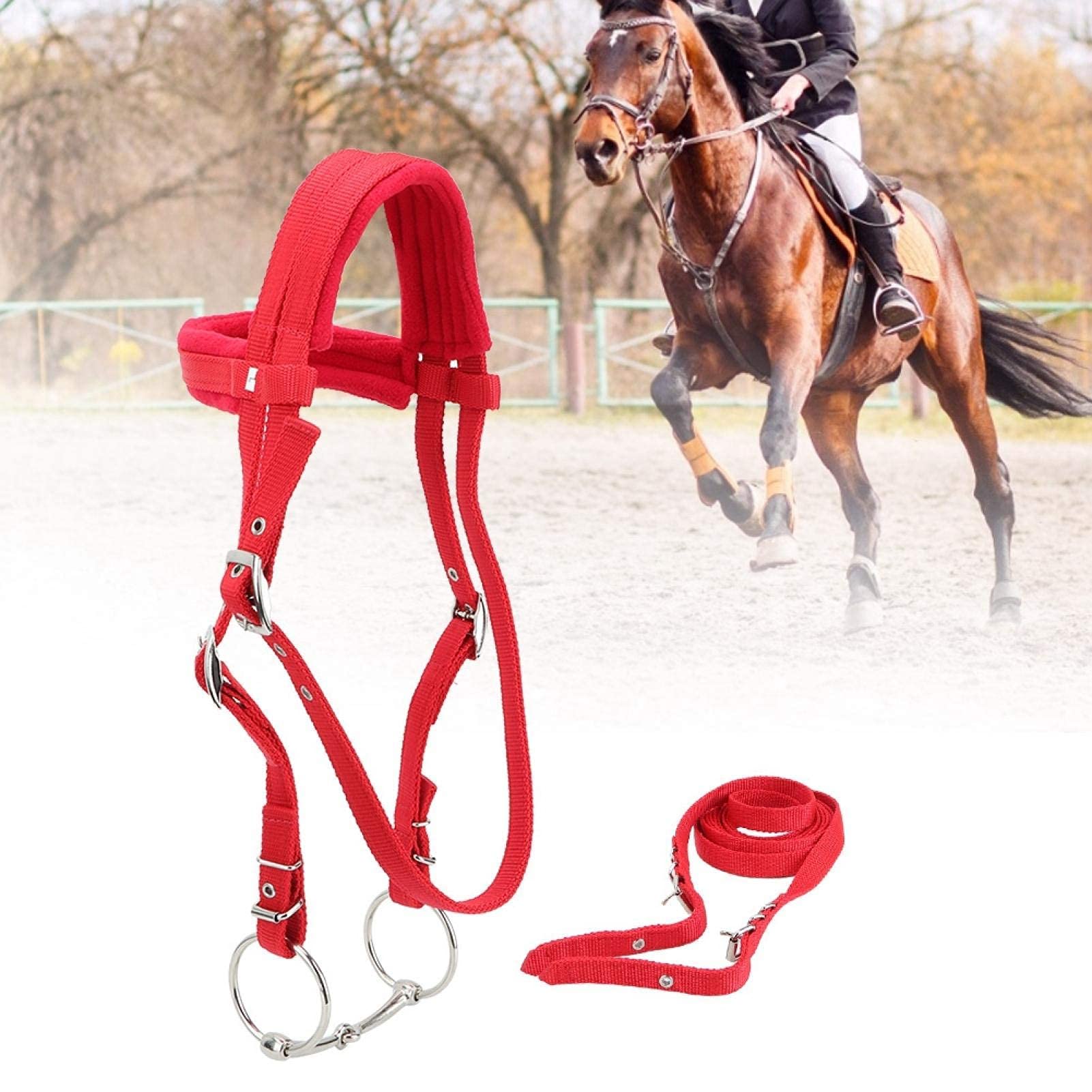 Briglia per Cavalli con Imbracatura per Cavallo Regolabile per Cavallo Rosso Regolabile