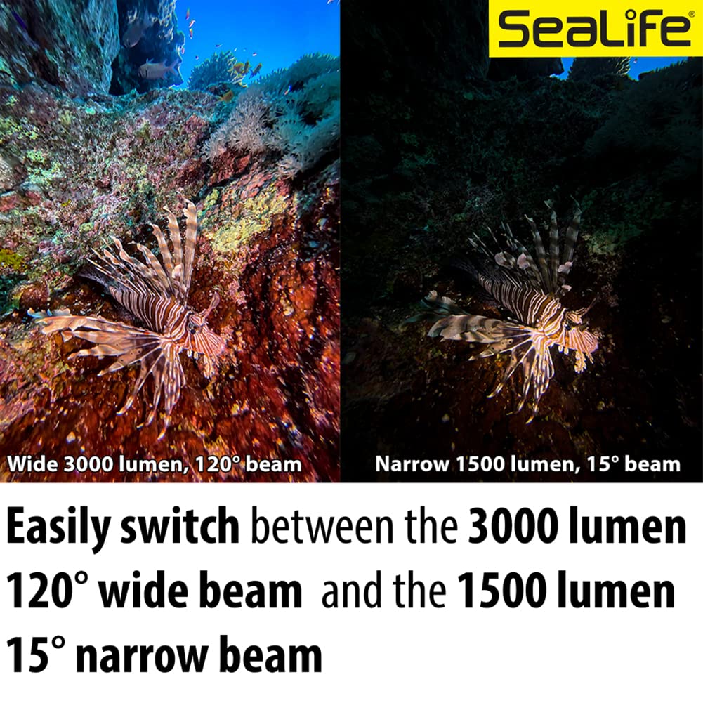 SeaLife Sea Dragon 3000SF Pro Dual Beam Rot Unterwasser-Licht 100m Tiefe Rotlicht Nachtsicht inkl. Montagesystem Batterien Netzteil