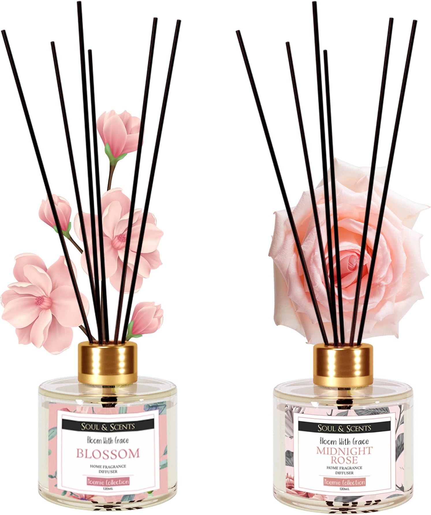 Soul & Scents Midnight Rose & Blossom Reed Diffusers Set for Home/Office/Gym/Yoga Fragrance | Aromatherapy | Mood Enhancer (Combo Pack) (RD_Combo10, Gold)