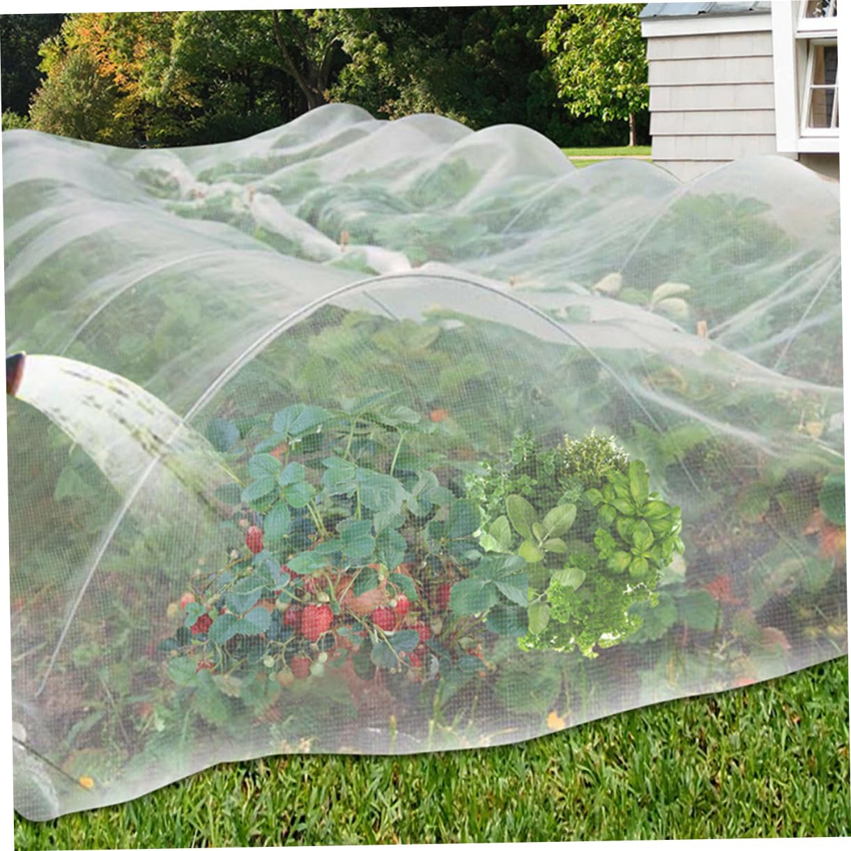 VANZACK Red de Protección para Jardín, Malla de Jardín 10x33 Pies, Red Delicada para Plantas Protección UV, Adecuado para Cultivos de Frutas y Hortalizas