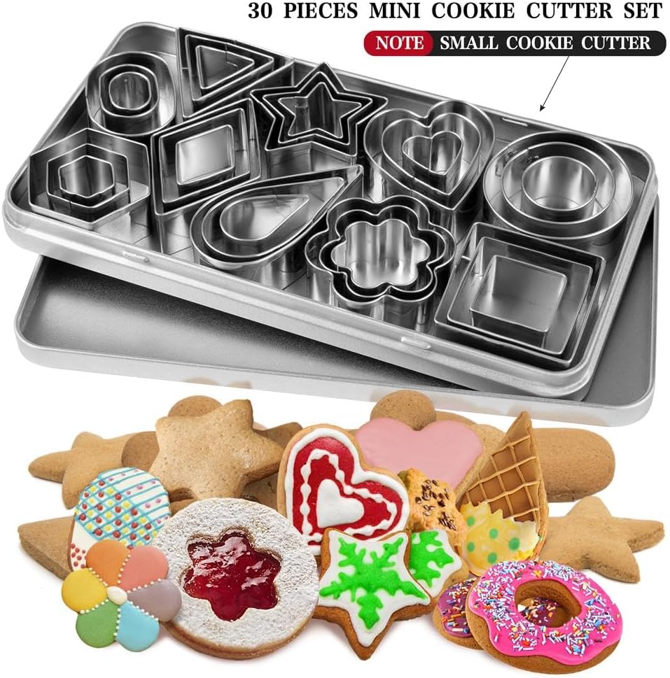 Mini Cookie Cutters Set with Box, QtoiKce 30Pcs Small Stainless Steel Flower Square Heart Round Star Triangle Oval Shapes Cookie Cutters, Mini Polymer Clay Cutters for Kids