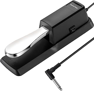 Sustain Pedal for Keyboard, Universal Piano Pedal with Polarity Switch & 1/4'' Input Plug, Compatible with Yamaha Casio Roland Korg Behringer Moog Electronic MIDI Keyboard, Digital Piano, Synthesizer